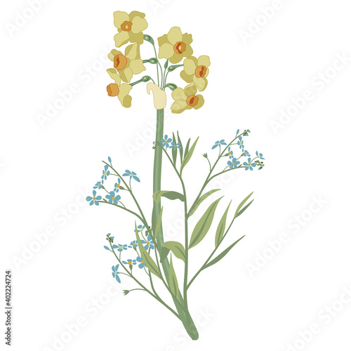 Bouquet of spring flowers. Branches of forget-me-not and yellow narcissus or daffodil blossom.
