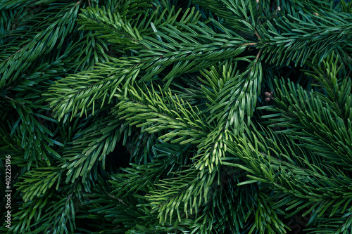 Closeup of Christmas fresh tree branches as background, top view