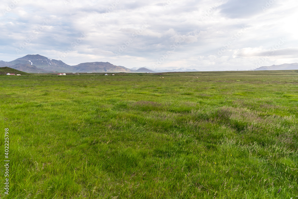 Meadow under cloudy sky in the countryside of iceland in summer