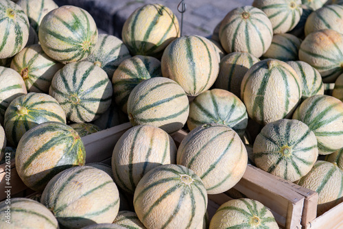 banc de melons charentais