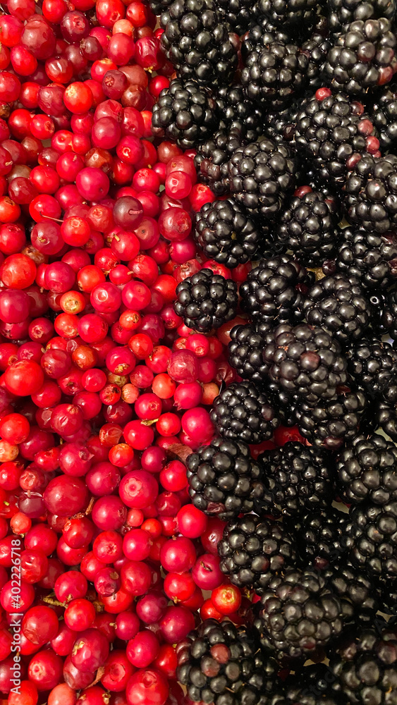 Blackberry and cowberry Blackberry and cowberry