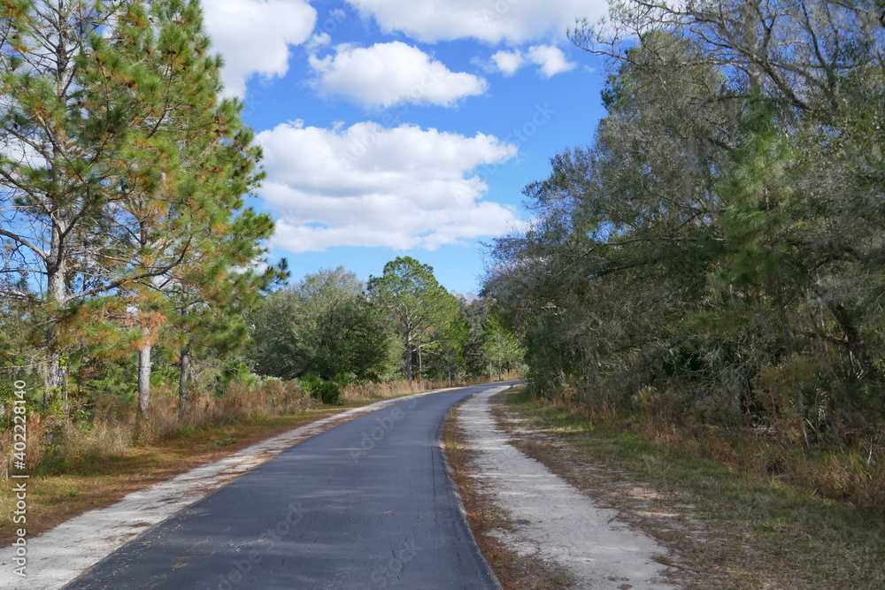 Landscape of Flatwood wild park in Tampa. Florida Landscape of Flatwood wild park in Tampa. Florida