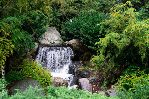 Pequeña cascada entre los matorrales en el parque