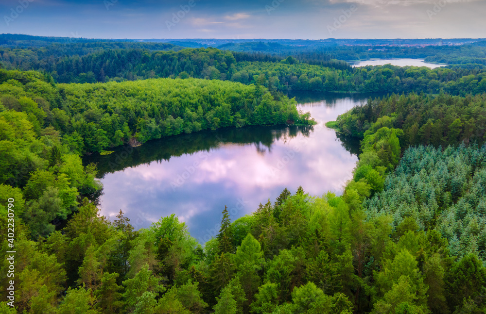 Fototapeta premium lake and forest