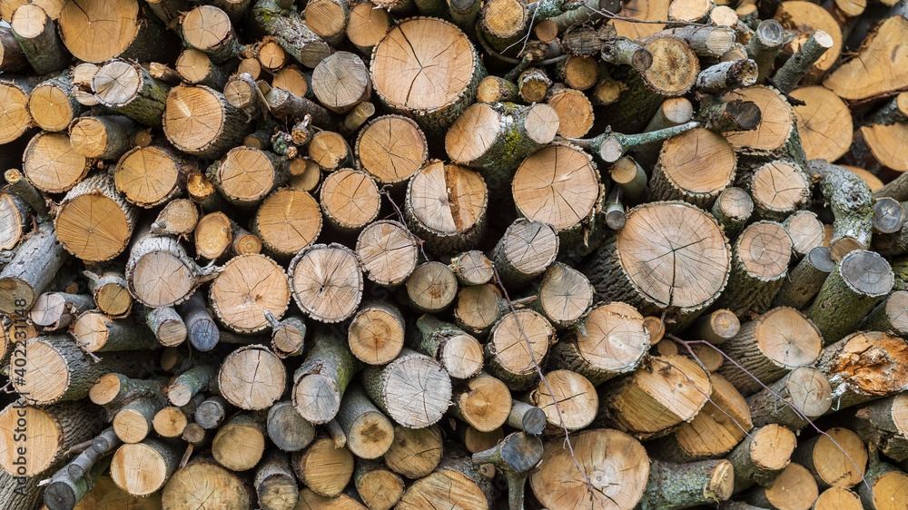 Stack of the tree wooden logs background texture Stack of the tree wooden logs background texture
