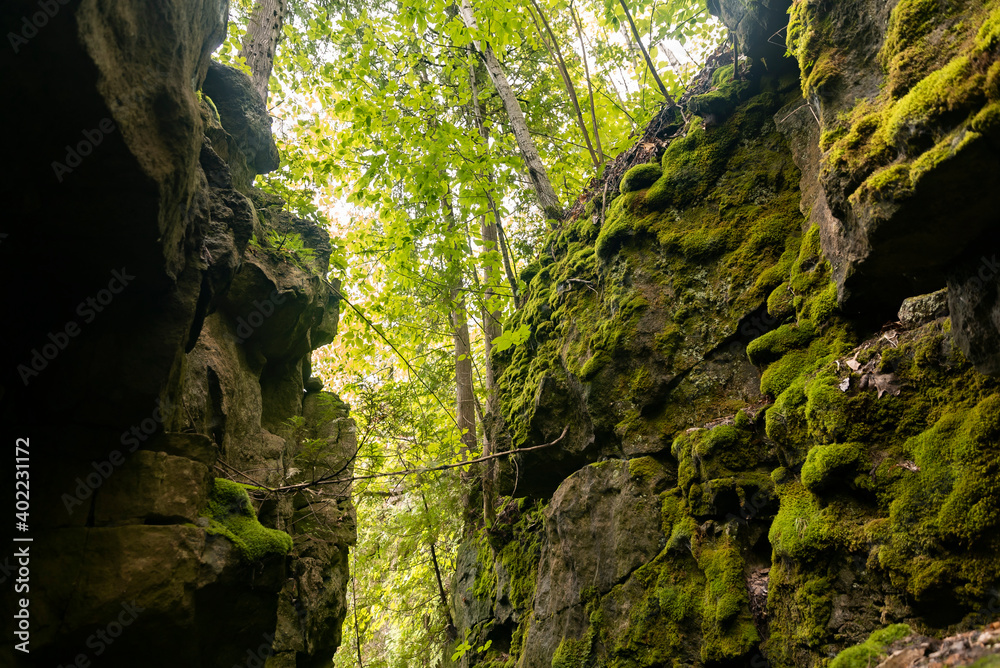 Green moss between rocky cliff in a forest