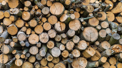 Stack of the tree wooden logs background texture