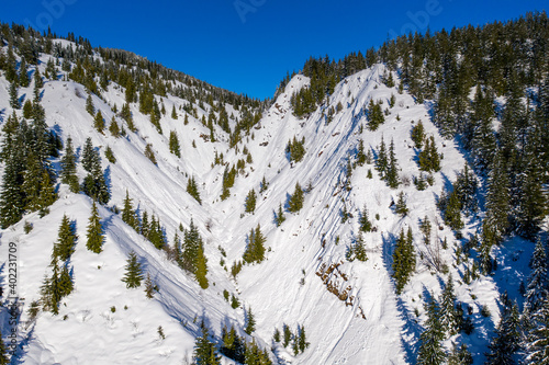 Obraz na płótnie Aerial of evergreen trees on snow covered mountain w salonie