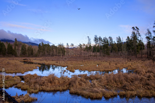 Obraz na płótnie Marsh wet lands in Winter on a December afternoon w salonie