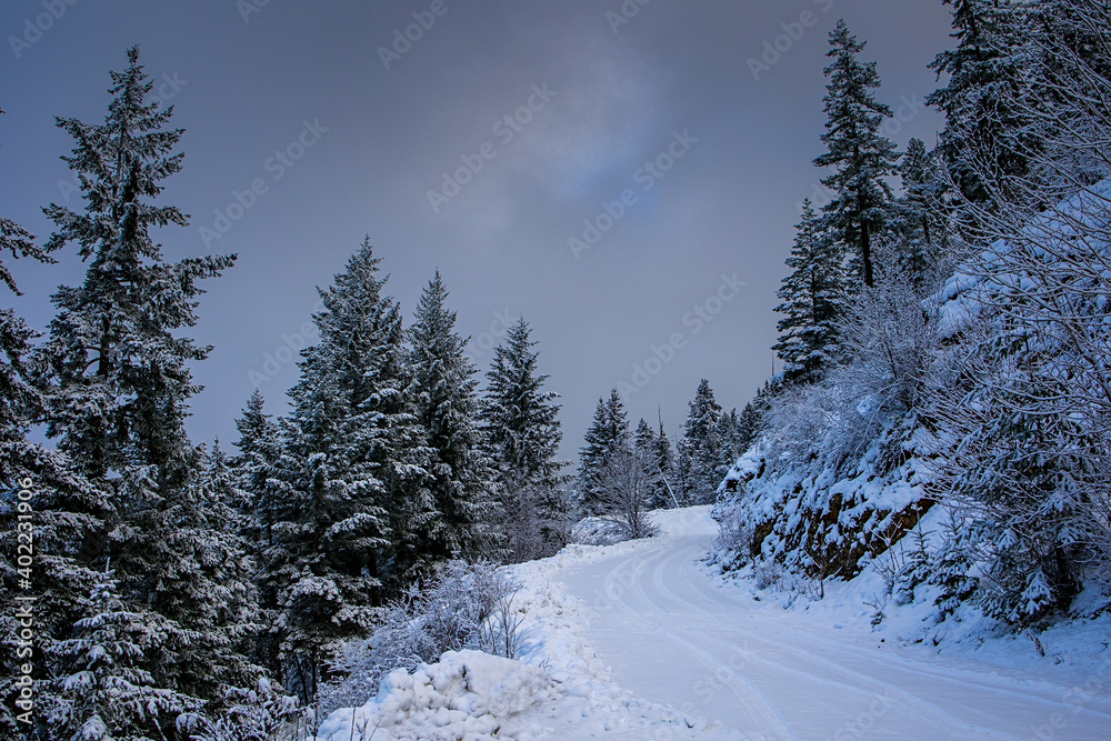 Quiet snow covered mountain road