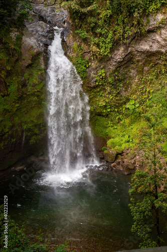 Beautiful shot of a waterfall flowing through a missy rough cliff in Xico  Veracruz  Mexico