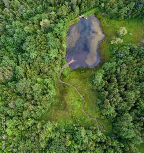 Aerial view of a creek leading to a lake in a green forest during summer