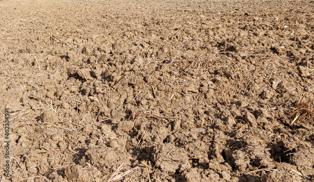Dirt field texture for background use Dirt field texture for background use