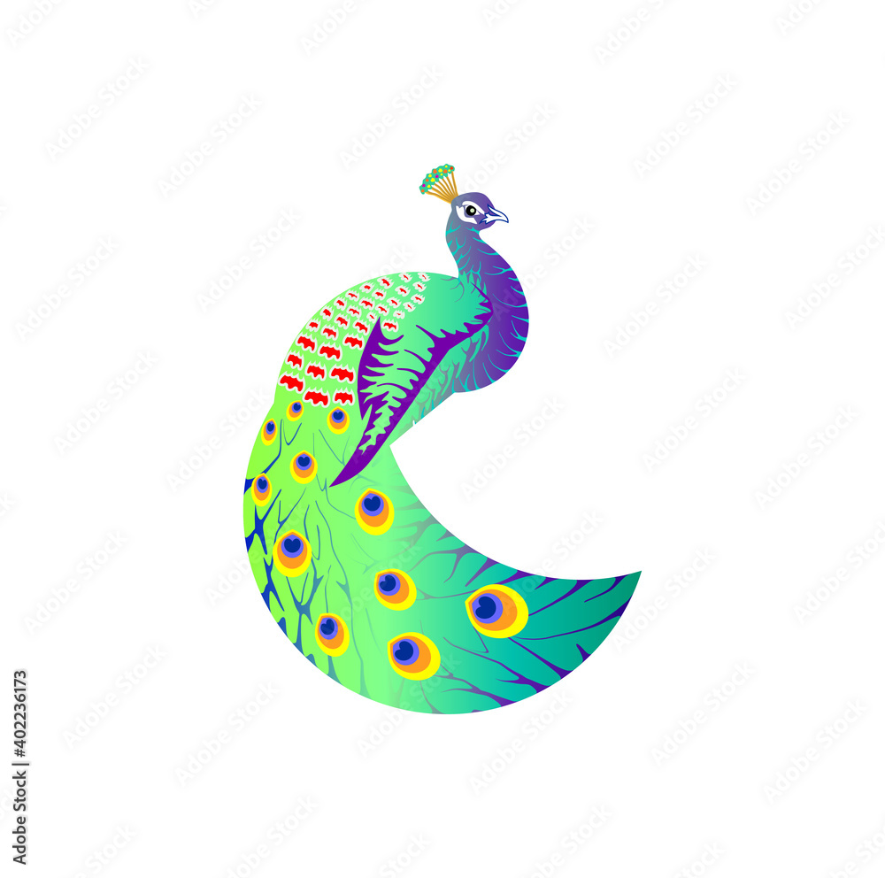 Fototapeta premium abstract peacock bird decorative vector art for brand and identity