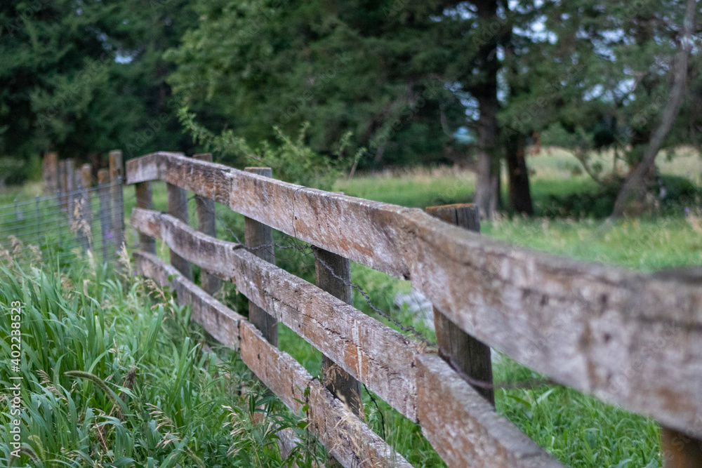 Close up of old wooden fence in pasture