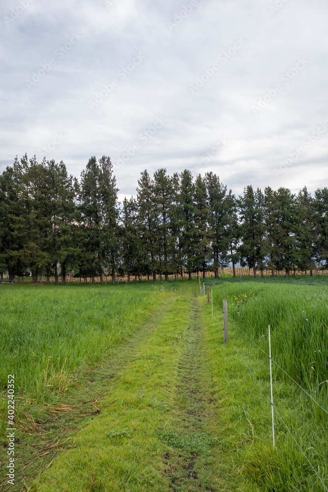 landscape of rural Barragan Valle del Cauca Colombia in the Colombian Andes landscape of rural Barragan Valle del Cauca Colombia in the Colombian Andes