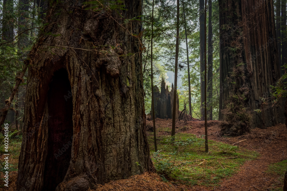 Forever I have stood,
seen Comrades come and go.
Great pillars of Wood,
their names I did not know.