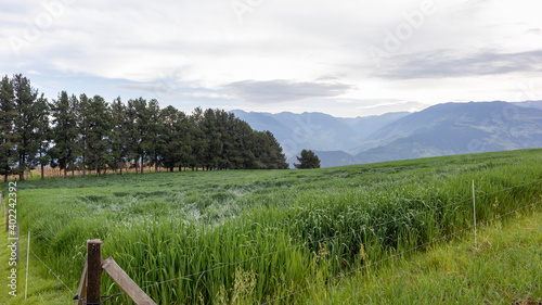 landscape of rural Barragan Valle del Cauca Colombia in the Colombian Andes photo