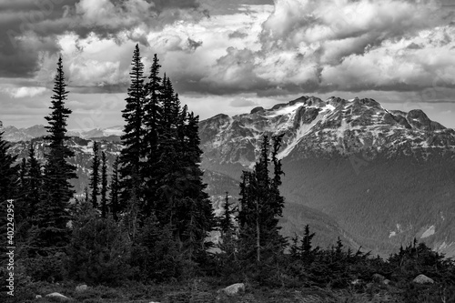 Breathtaking black and white view of the mountains peaks, forests, and clouds in Whistler, British Columbia, Canada
