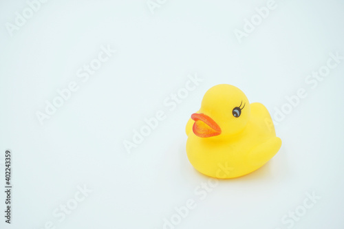 yellow duckling toy on white background