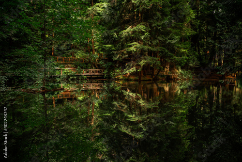 A peaceful and dreamy view of the clear reflection of a bridge in the forest on a small lake