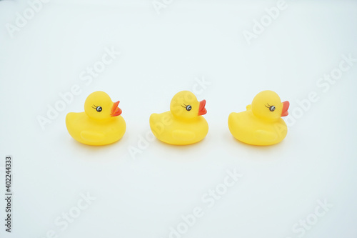 Three yellow ducklings on a white background