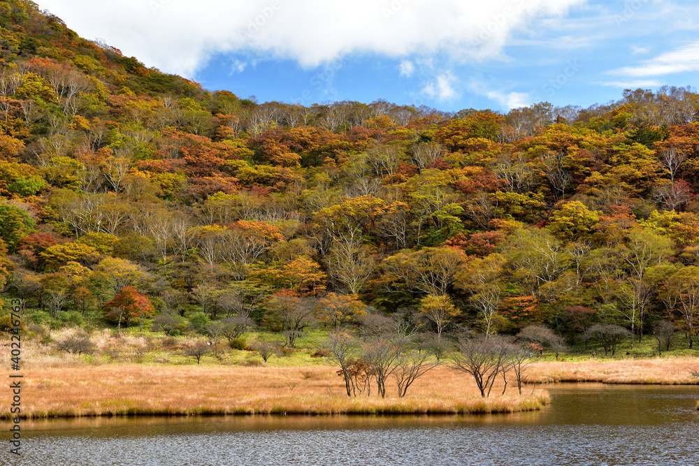赤城山 覚満淵 かくまんぶち の紅葉 Stock Photo Adobe Stock