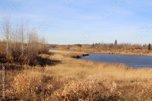Warm November On The Wetlands  Pylypow Wetlands  Edmonton  Alberta