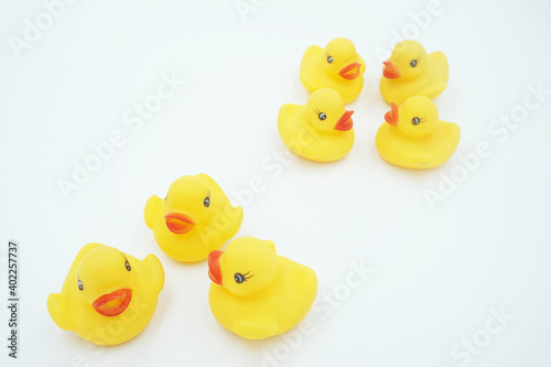 Yellow duck animal toy on white background
