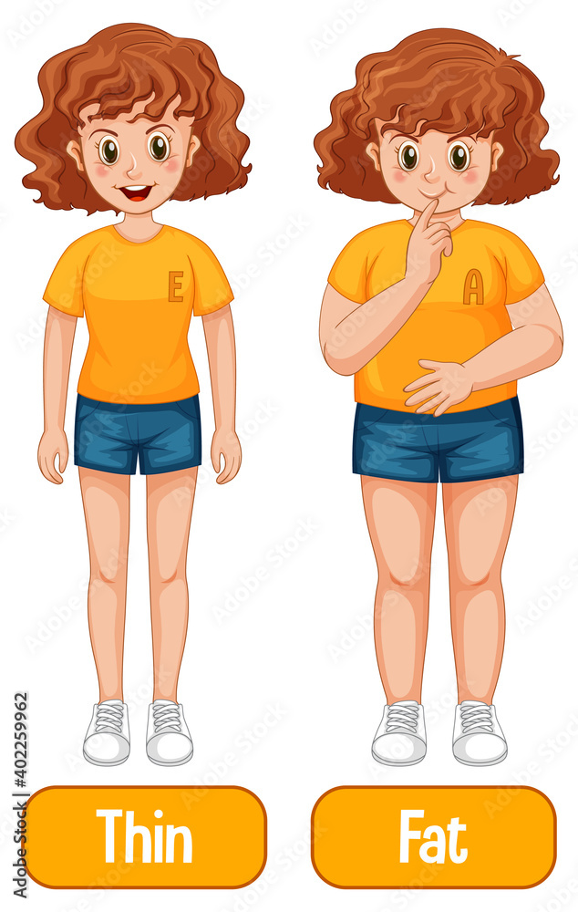 Opposite adjectives words with thin and fat Opposite adjectives words with thin and fat