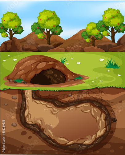 Empty underground animal hole