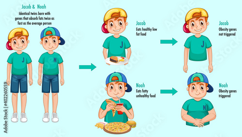 Roles of genes and environment. Body fat in identical twins infographic.