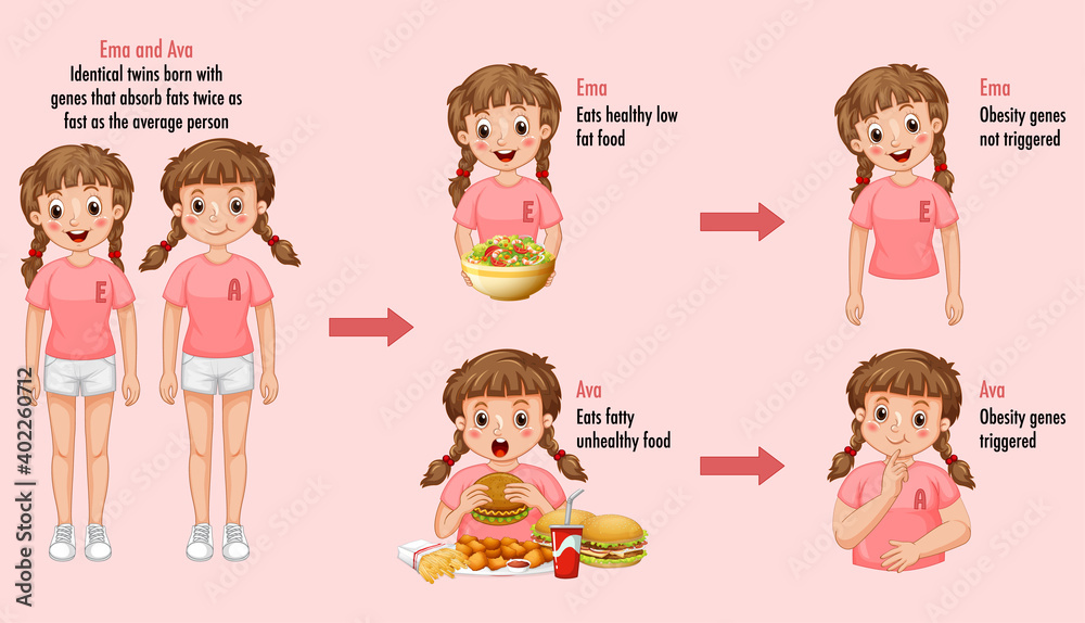 Roles of genes and environment. Body fat in identical twins infographic