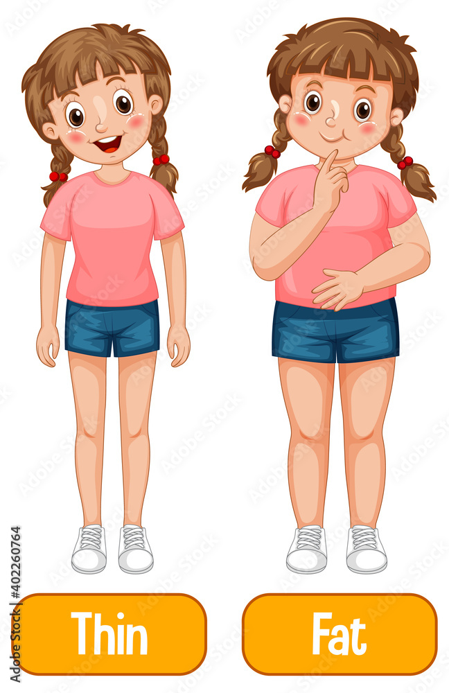 Opposite adjectives words with thin and fat Opposite adjectives words with thin and fat
