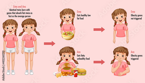 Roles of genes and environment. Body fat in identical twins infographic.