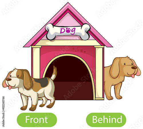 Opposite words with front and behind
