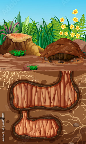 Empty underground animal hole