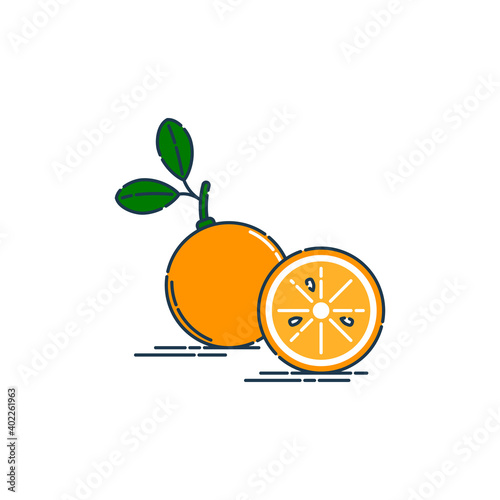 Whole and cut in half tangerine or orange fruit isolated on white background. Fresh cut citrus icon. Bright summer harvest illustration. Flat style illustration for any design. Organic product
