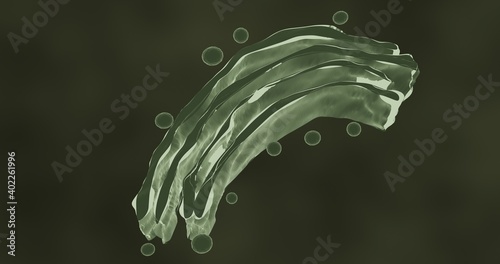 The golgi body in 3d illustration photo