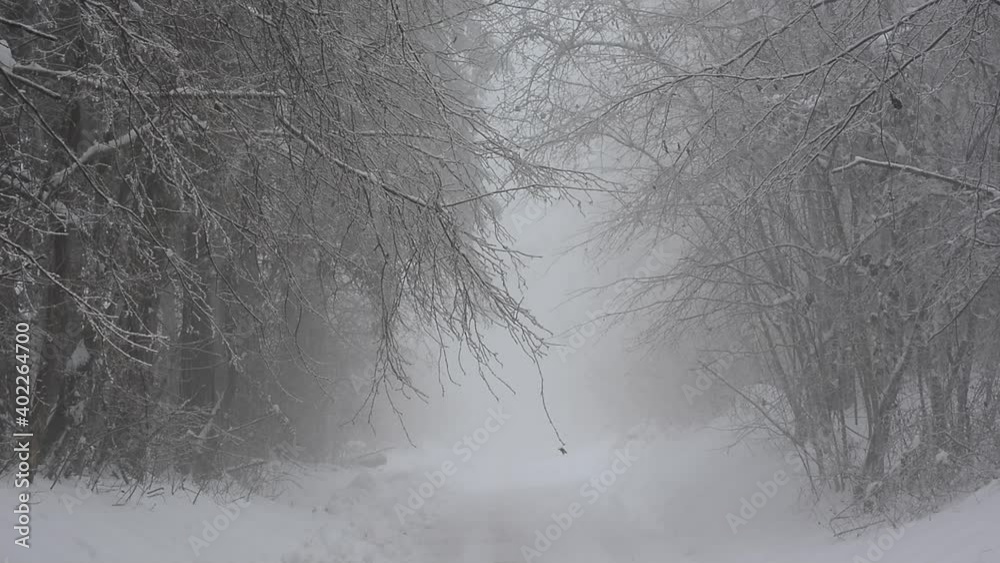 a blizzard of wind and snow