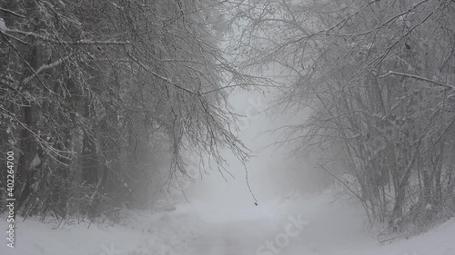 a blizzard of wind and snow