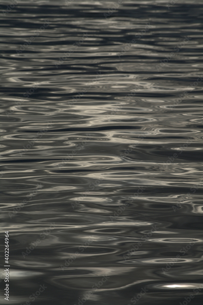 Naklejka premium ripples on water