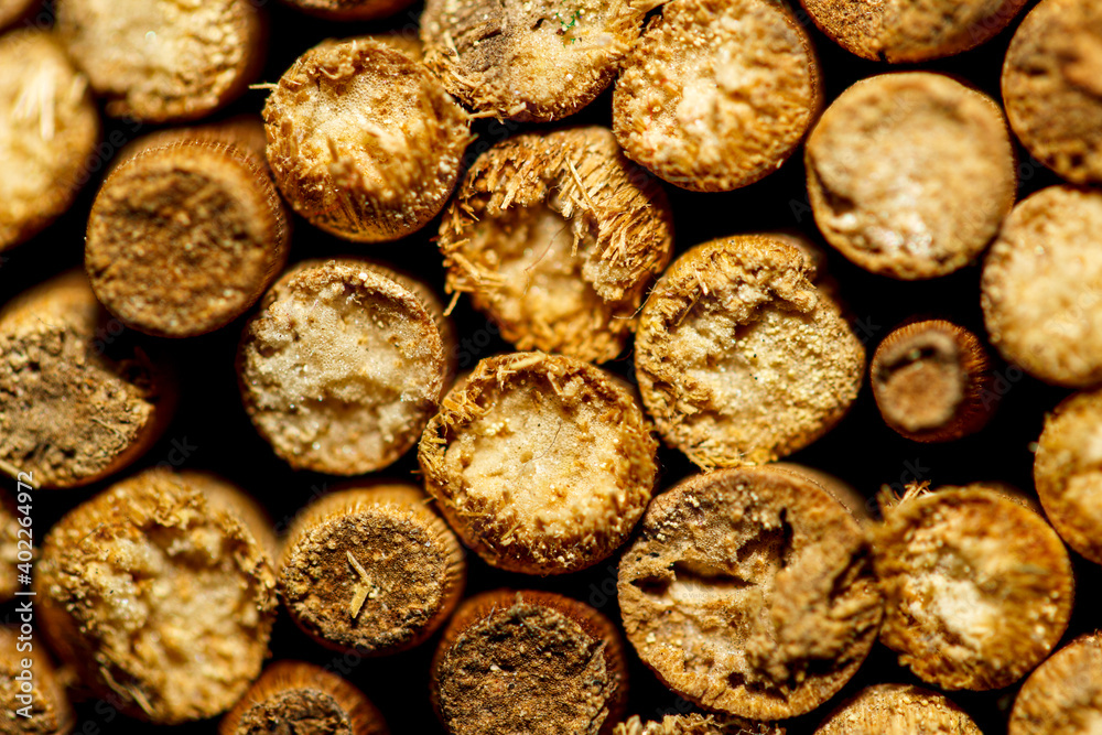 close up of a pile of wood sticks close up of a pile of wood sticks