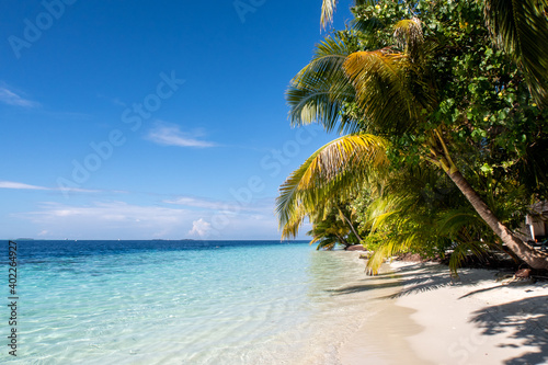 Fototapeta Naklejka Na Ścianę i Meble -  Tropical island coast landscape with coconut palm trees, white sandy beach and turquoise ocean, copy space, Maldives.