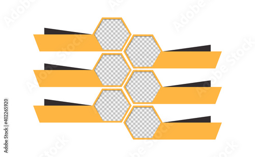 Infographic of hexagon honeycomb bee house