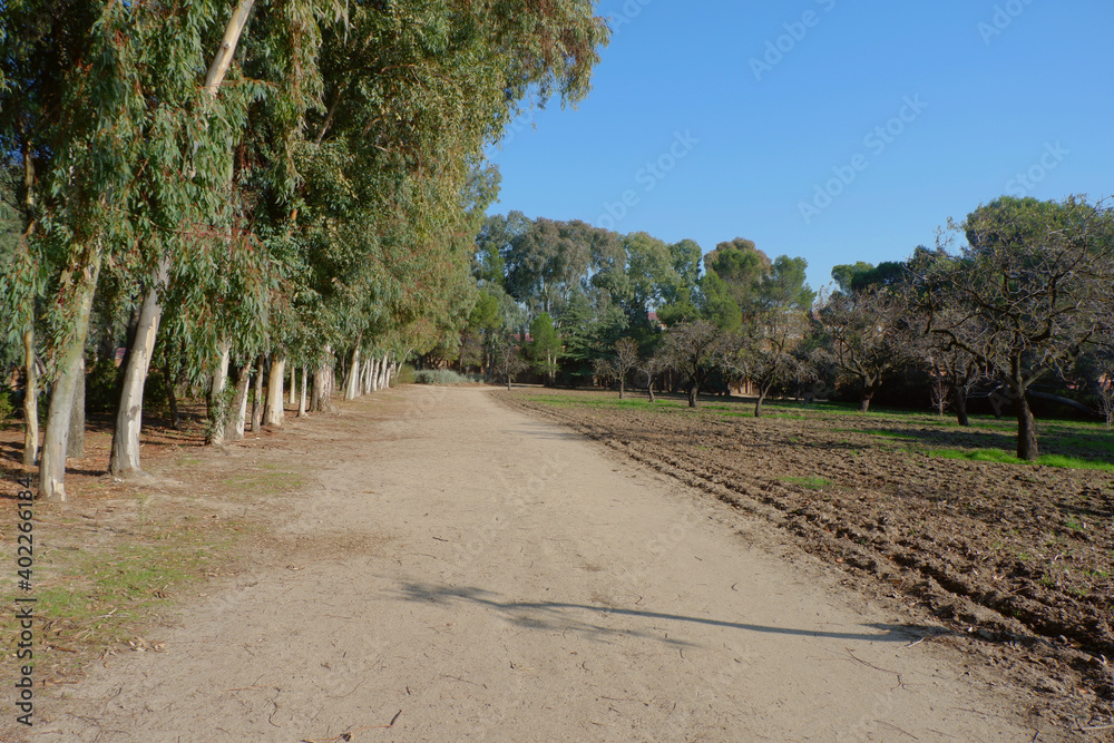 Parque Quinta de los Molinos, Madrid Parque Quinta de los Molinos, Madrid