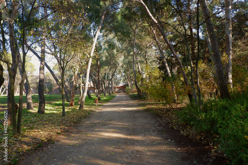 Parque Quinta de los Molinos, Madrid