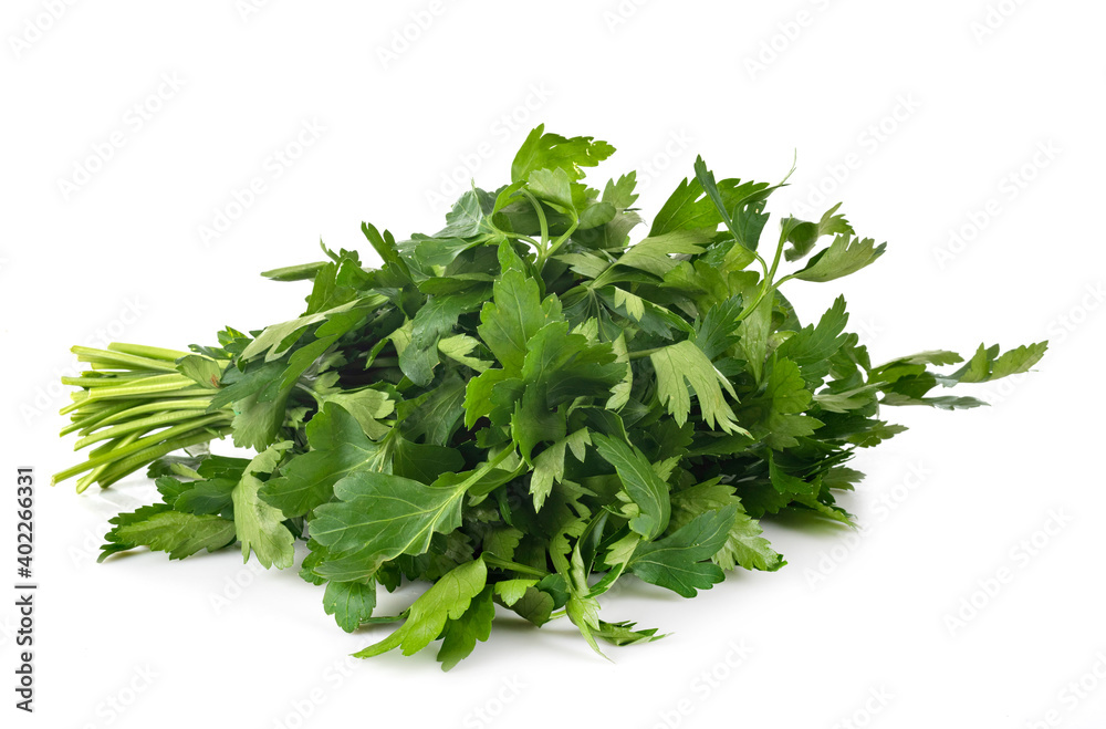bunch of parsley bunch of parsley