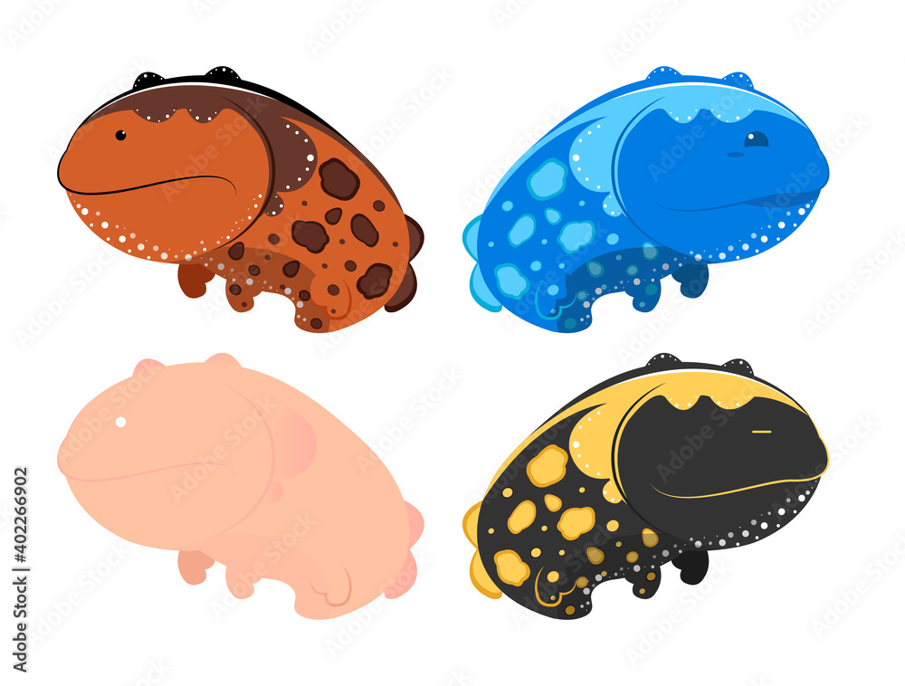 A vector illustration of cute salamanders in four different colors