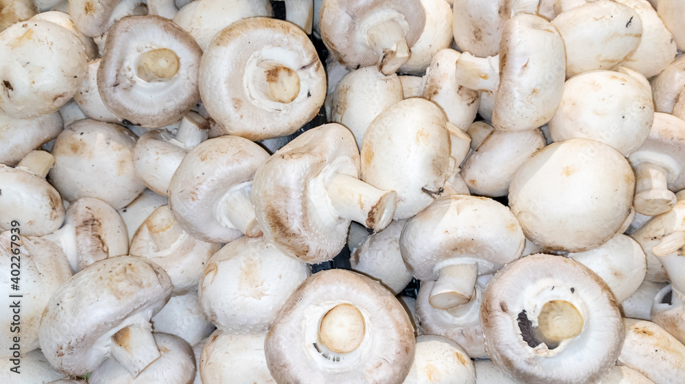 Champignon background in top view of mushroom in market for sale